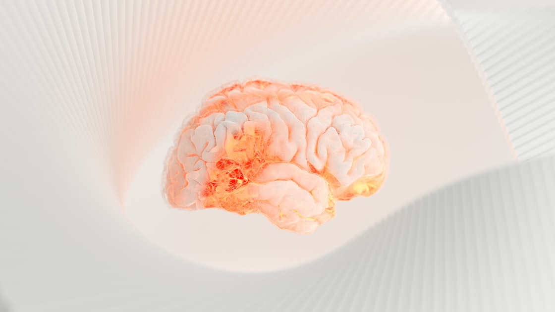 Mental Imagery: A Window to the Mind